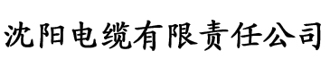 日韩无码!中文字幕电缆厂logo